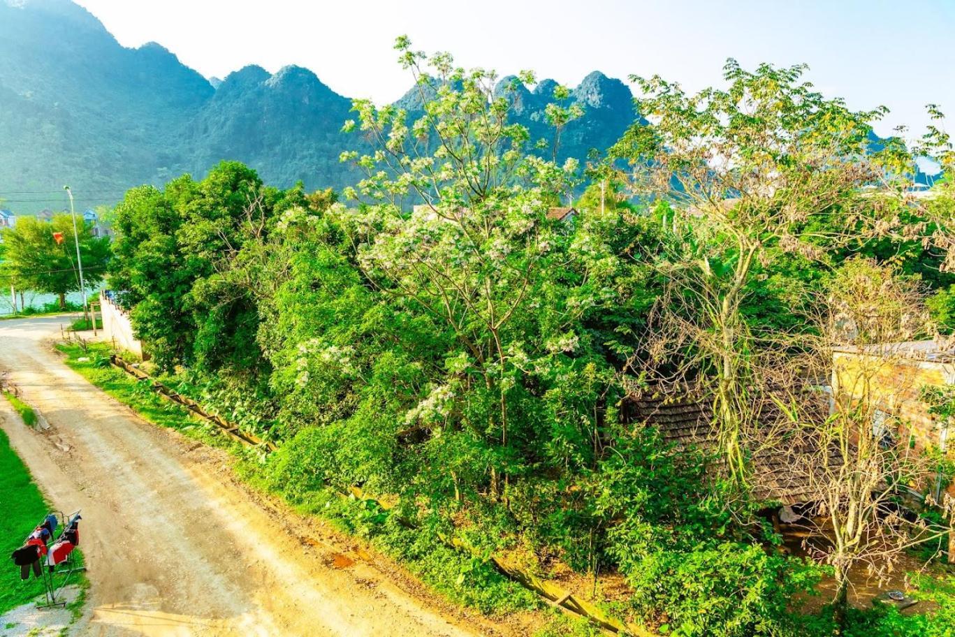 Ferienwohnung Phong Nha Cherish House Exterior foto